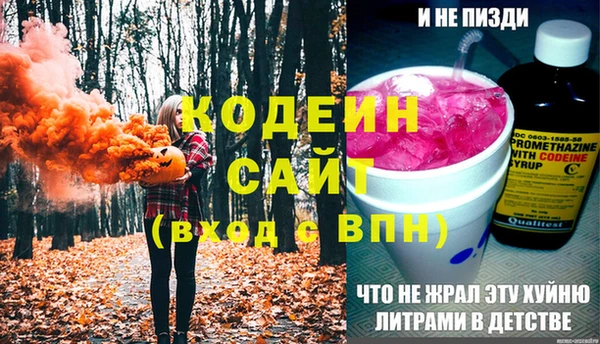 шишки Бородино